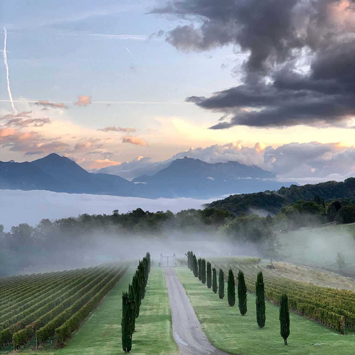 Team building œnologique vignoble Grenoble