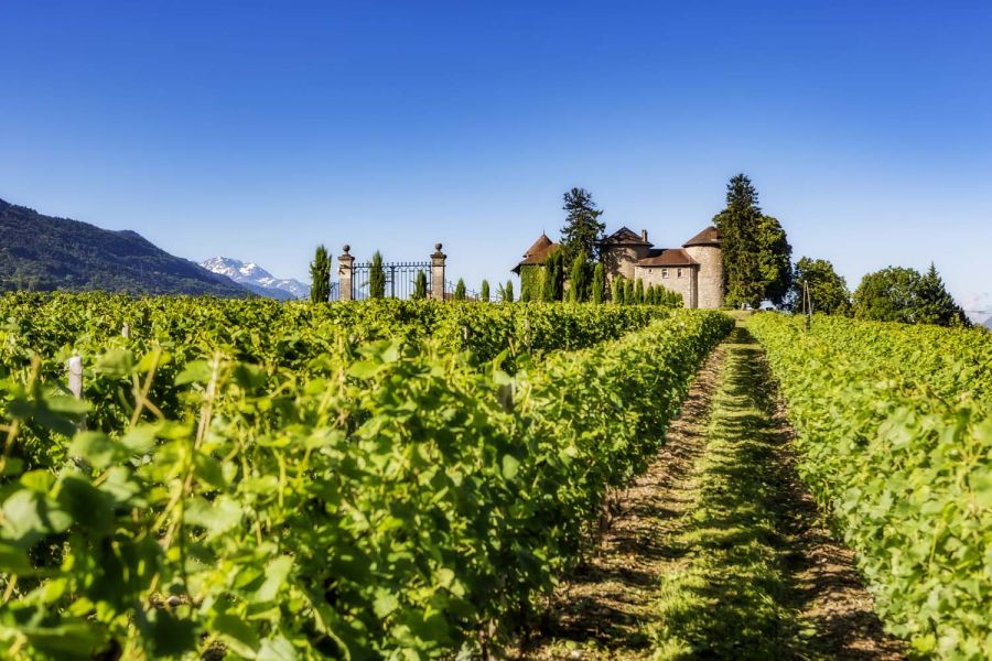Team building vignoble Château Bayard Pontcharra Isère - Activités entreprise Grenoble
