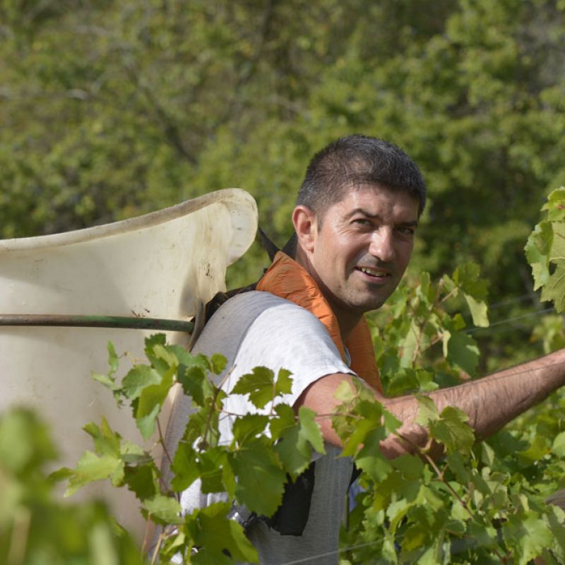 Vignoble Chevalier Bayard | Jean-Michel Reymond vigneron