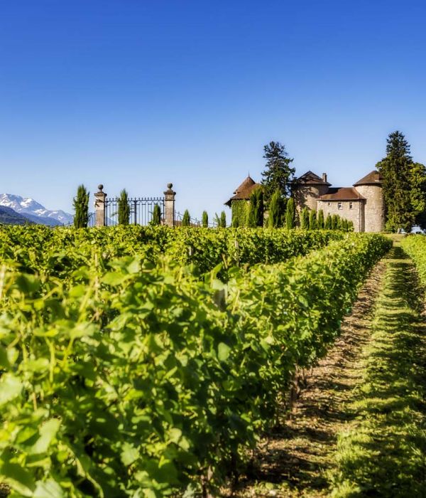 Team building vignoble Château Bayard Pontcharra Isère - Activités entreprise Grenoble