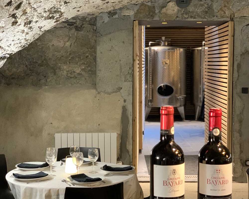 Dégustation  de vin et cours d'oenologie au Chateau | Chevalier Bayard