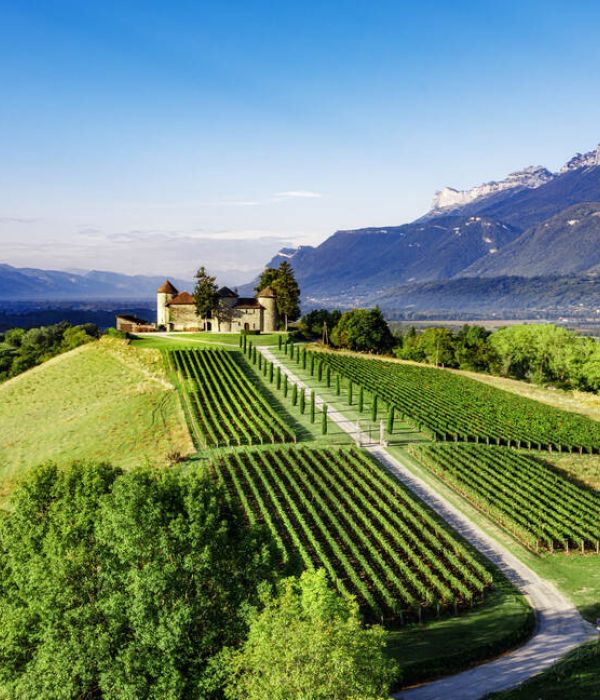 Vue panoramique et vignes du Château Bayard