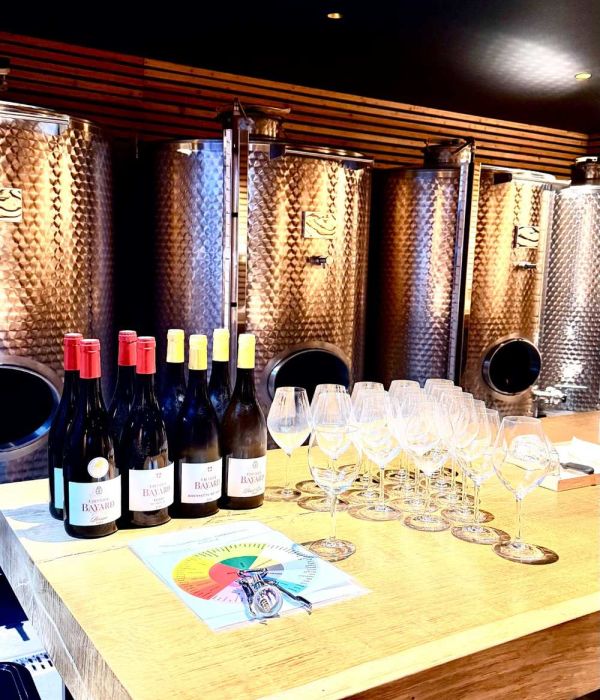 Dégustation de vin lors d'un team building au Château Bayard